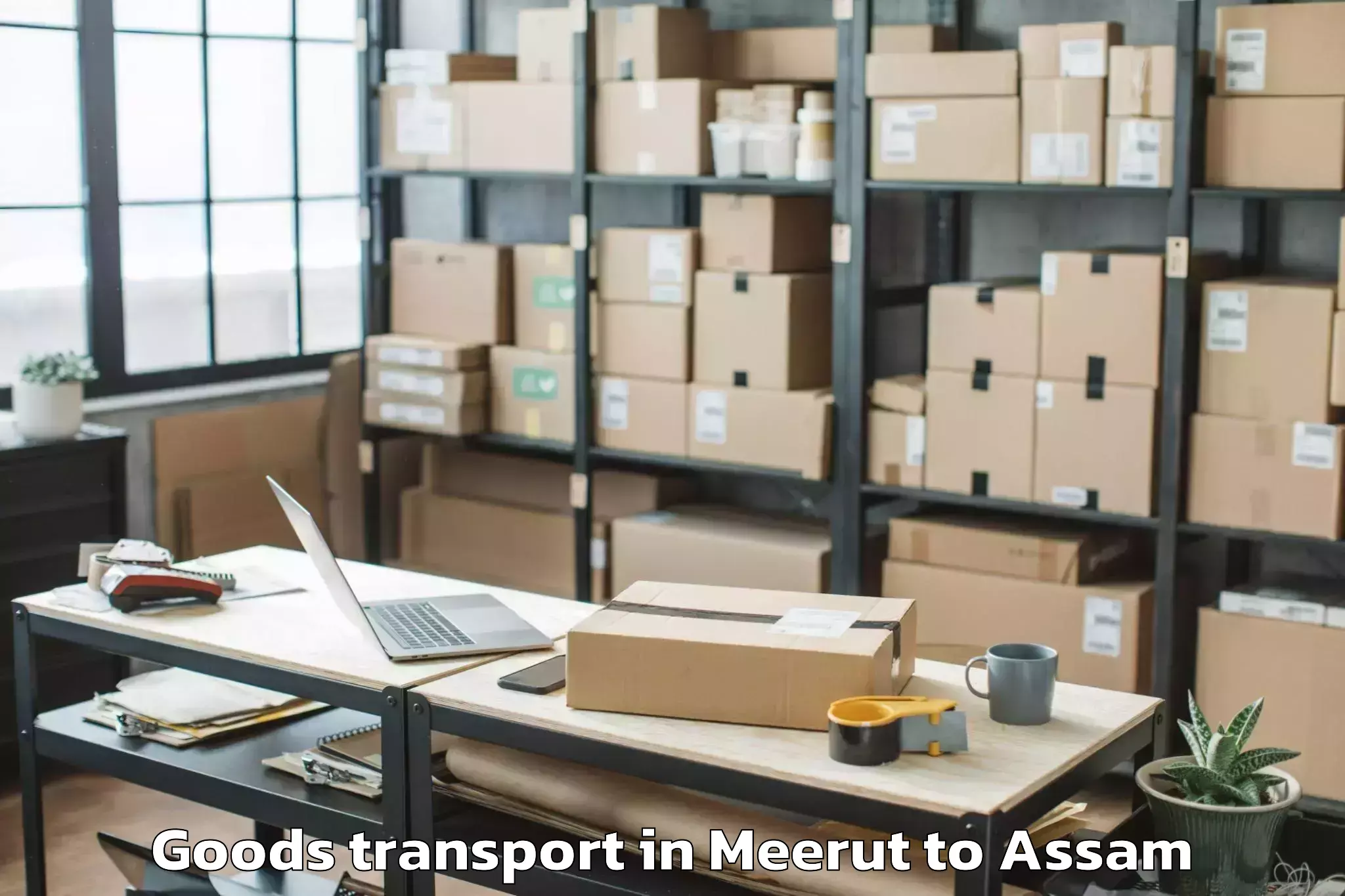 Reliable Meerut to Sibsagar Goods Transport